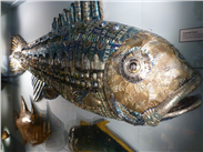 Val Hunt's 'Canned Tuna' artwork, in the Fish Gallery at Warrington Museum!